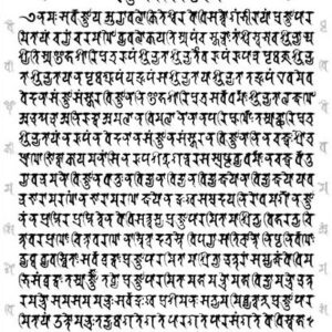 All as Path: Emptiness, Compassion, and Everything is Path